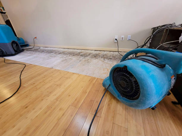 Professional Water Damage Repair technician working in Centerport, PA